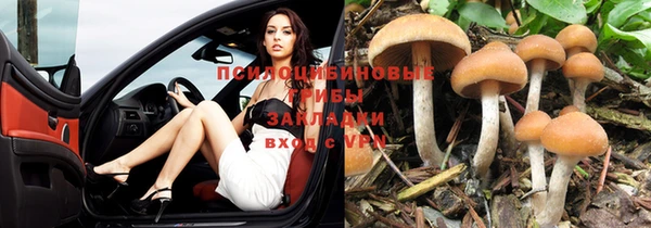 гашиш Аркадак